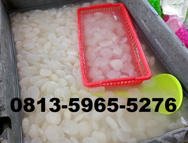 Supplier Gudang Jual Grosir Kolang kaling Kualitas Super Caruban Madiun Jawa Timur